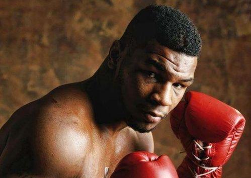 国产拳手比赛视频,国产拳手激战正酣，精彩瞬间盘点