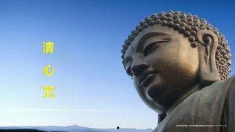 国产佛教的视频,国产佛教视频深度解读