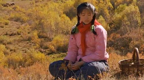 看哭人的国产催泪视频,国产催泪视频触动灵魂的瞬间