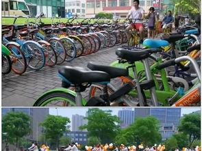 国产单车视频,视频展现创新与活力