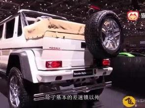 国产跑车加油视频,燃油动力演绎速度与激情