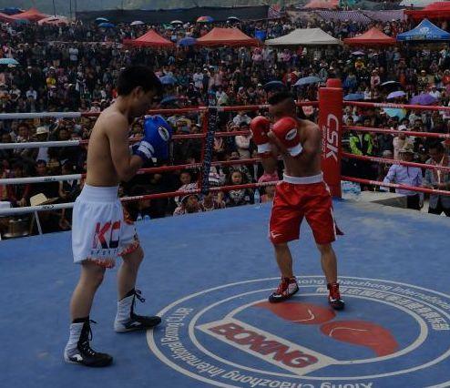 国产拳击影视在线观看视频,国产拳击影视盛宴在线放送