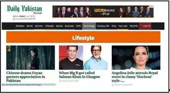 老外解说国产剧视频网站,老外视角下的热门视频网站解析