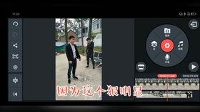 国产很火的特效视频软件,引领视觉盛宴的国产视频软件解析