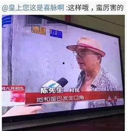 对白系列视频国产,国产对白系列视频深度解析