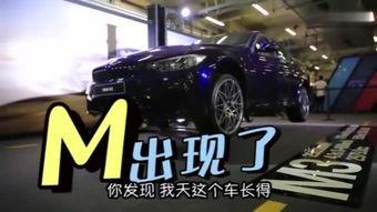 国产翻滚车视频,惊险刺激！国产翻滚车视频揭秘极限运动魅力