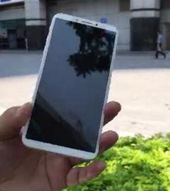 国产苹果8视频下载  第1张