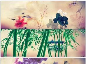 国产舞蹈中国风视频