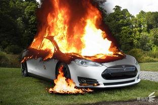 国产电动车自燃视频下载  第2张