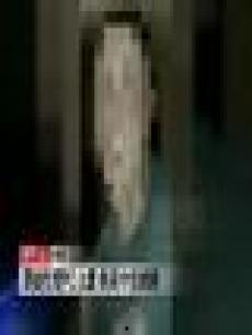 国产性派对在线视频,揭秘国内私密娱乐现象  第3张