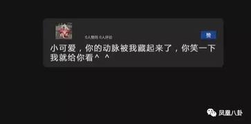 国产 虐 视频网站,揭秘热门视频网站背后的残酷现实  第3张