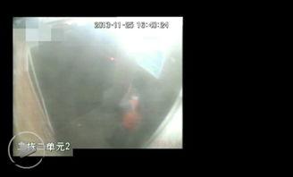 国产舔玉足视频  第3张