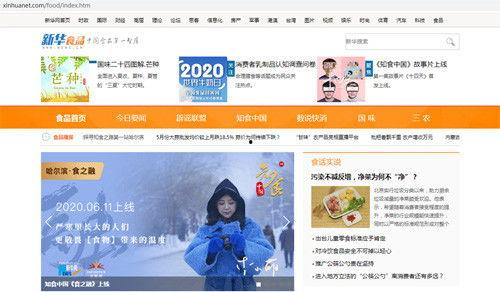 国产系列视频网站